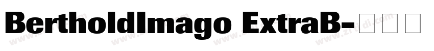 BertholdImago ExtraB字体转换